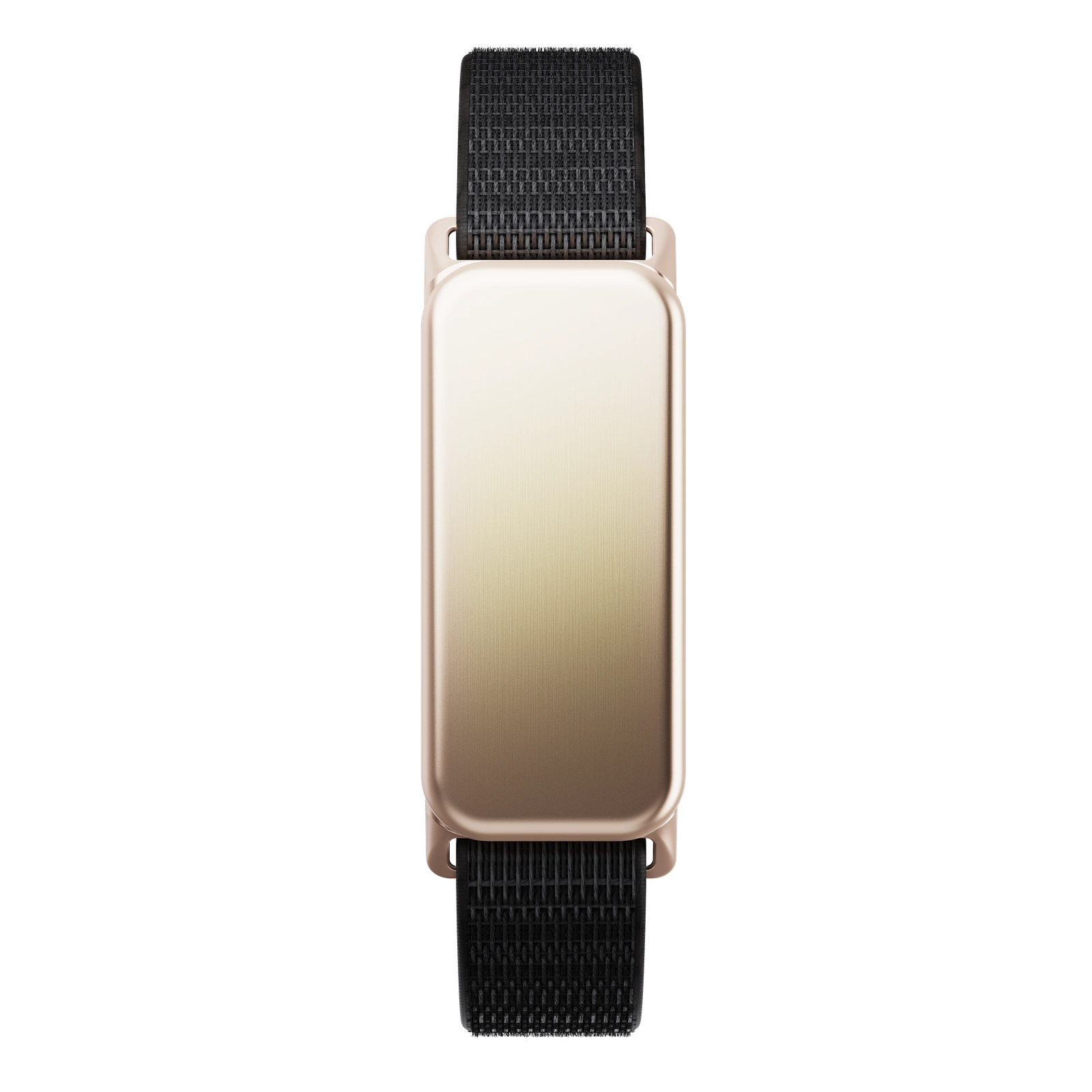 Gold / Woven band / Black